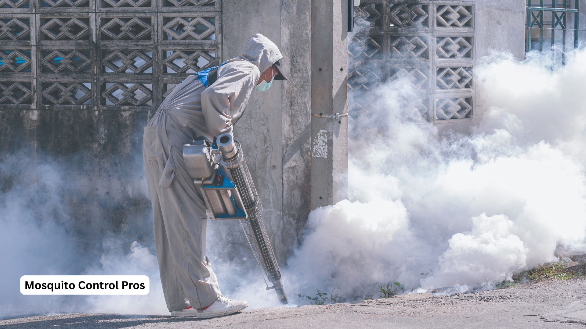 Professional mosquito control treatment in Clermont