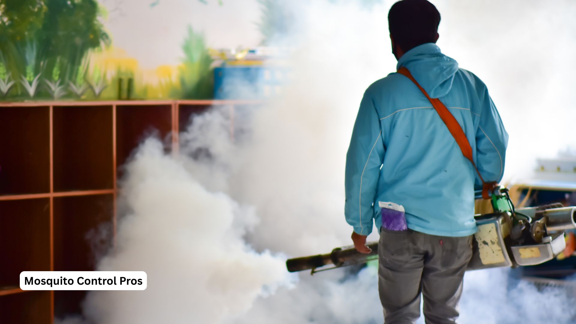 Professional larviciding treatment for mosquito control