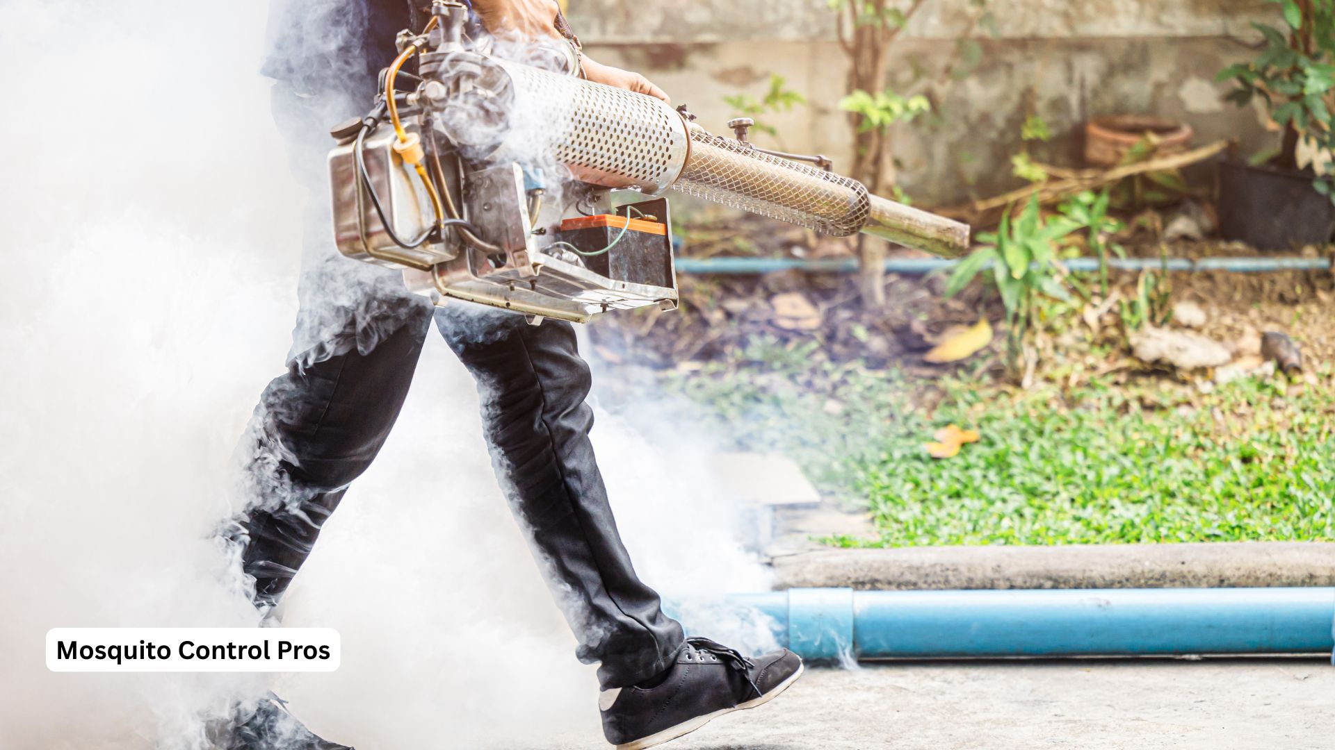 Mosquito fogging treatment for immediate relief
